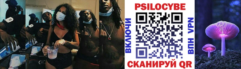 Галлюциногенные грибы Psilocybine cubensis  что такое   Магадан 